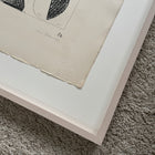 STUDIE 1961