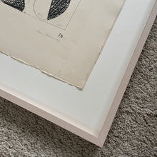 STUDIE 1961