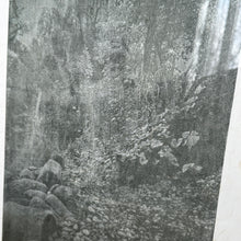 RÜSCHEGG 1997