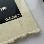 L'ÉMOTION 1898